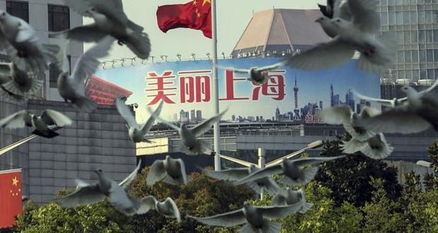 La Chine suspend le commerce d’oiseaux sauvages - ảnh 2